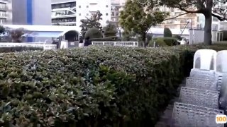 刚刚更新成人视频.日本阿v手机不卡在线观看视频在线a 日本一区二区在线看_国产在线精品观看一区欧美国产精品不卡在线观看_国产亚洲一区二区手机在线观看